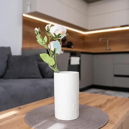 アパート Modern 1-bedroom *