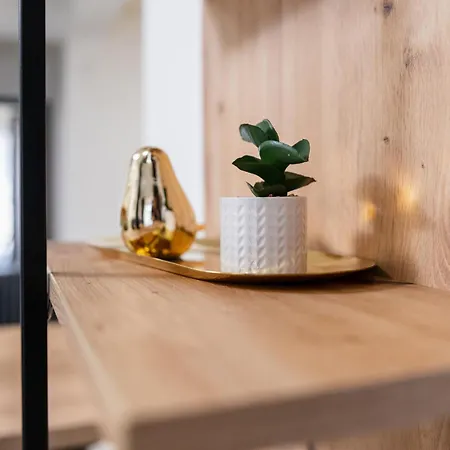 Modern 1-bedroom アパート