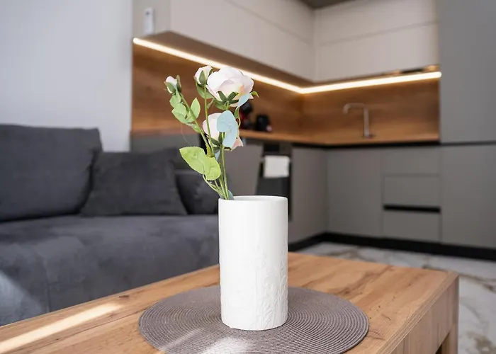 Apartament Modern 1-bedroom *