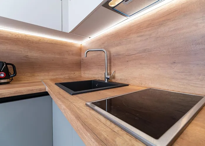 Modern 1-bedroom Apartament